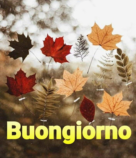 buongiorno immagini