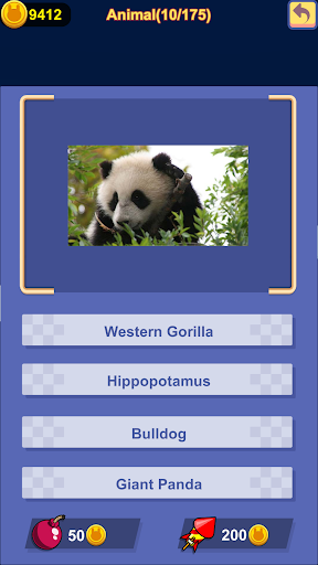 Quiz Bunny Screen 2