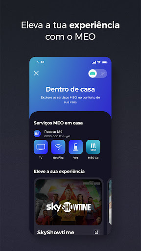 Screenshot of my MEO