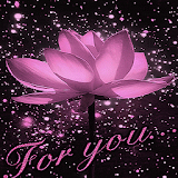 Lotus For You LWP icon