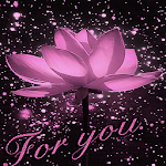 Lotus For You LWP Apk