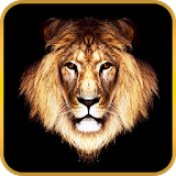 Lion Live Wallpaper icon