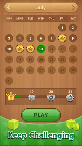 Block Puzzle Sudoku screenshot