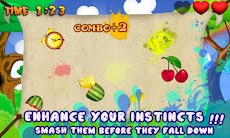 Fruit Smasher - Fruits Ninjaのおすすめ画像2