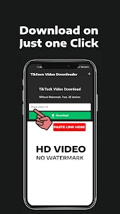 TikSave Video Downloader