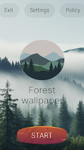 Forest wallpaper