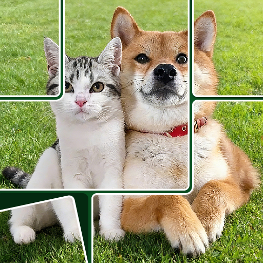 Jigsolitaire Puzzle Jigsaw Mix
