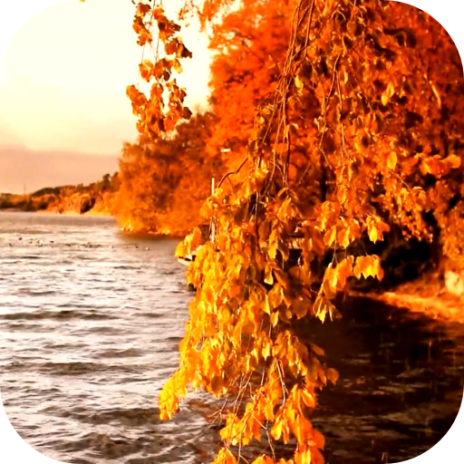 Autumn 3D Video LWP logo