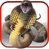 Snake Screen icon