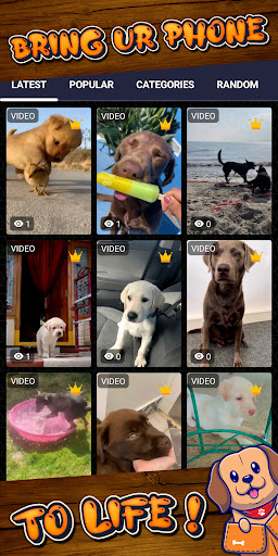 labrador wallpaper Screen 2