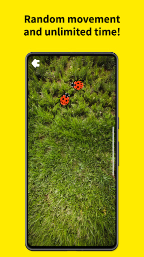 Meow Tap - Cat games