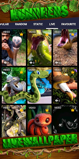 snake wallpaper Screenshot 3 - AppWisp.com