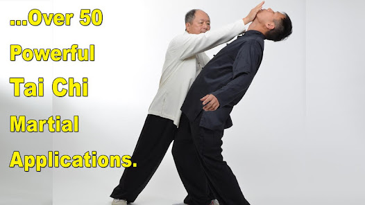 Captura 8 Tai Chi Martial Applications android