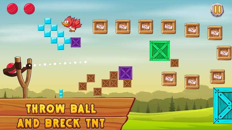 Ball Slingshot Bird Game - 1.0.0.0 - (Android)
