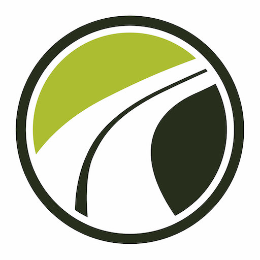 Livcamp logo