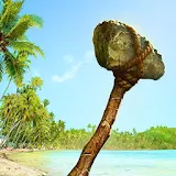 Survival Island icon