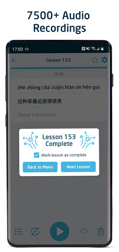 Screenshot of Immersive Chinese
