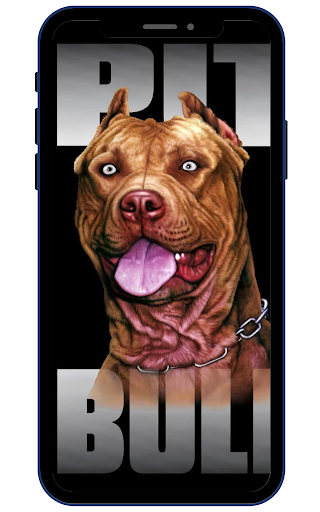American Pitbull Screen 3