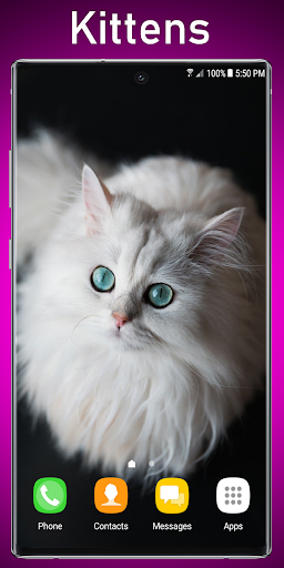 Kittens Live Wallpaper Screen 2
