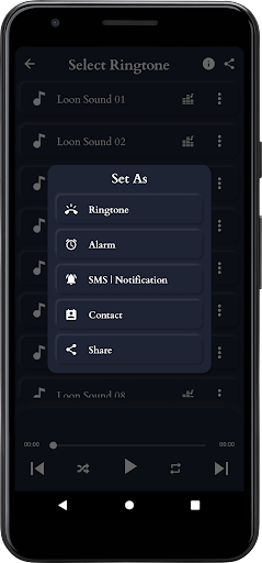 Loon Sounds Screen 3