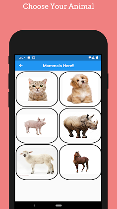 Animal Sounds - Screenshot 2