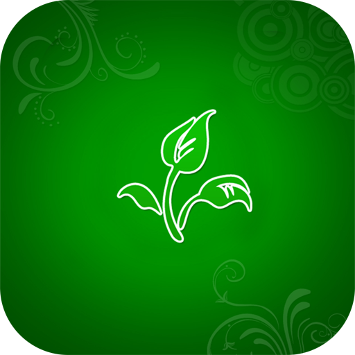 Floral wallpaper for whatsapp logo