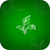 Floral wallpaper for whatsapp icon