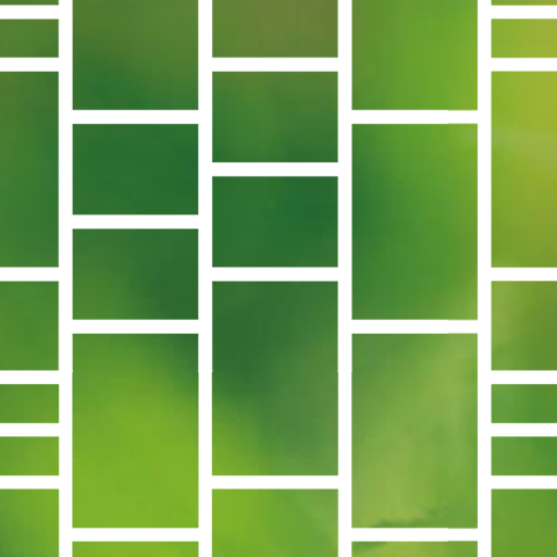 Cami Ladder Laai af op Windows