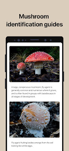 Picture Mushroom - Mushroom ID android2mod screenshots 4