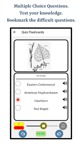 Guess Trees From Leaves Screen 3