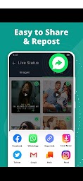 All status Saver and Downloaded
