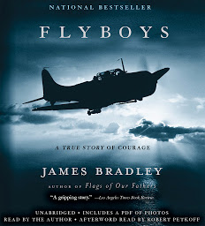 Icon image Flyboys: A True Story of Courage