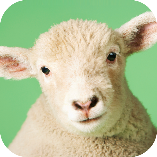 Sheep Sounds  Icon