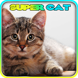 Super Cat 3D icon