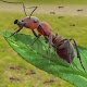 Insect Simulator Games - Queen Ant Simulator 2021 Download on Windows