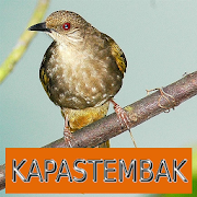 Top 30 Music & Audio Apps Like Master Kicau Kapas Tembak - Best Alternatives