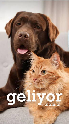 Android application Geliyor screenshort