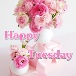 Cover Image of Download Tuesday goodmorning wishes  APK