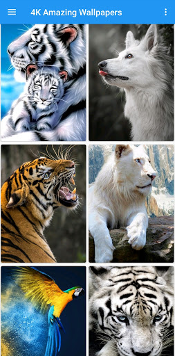 Super Amoled Wallpapers - 4K