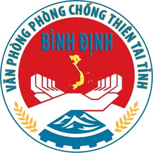Quan trắc Bình Định logo