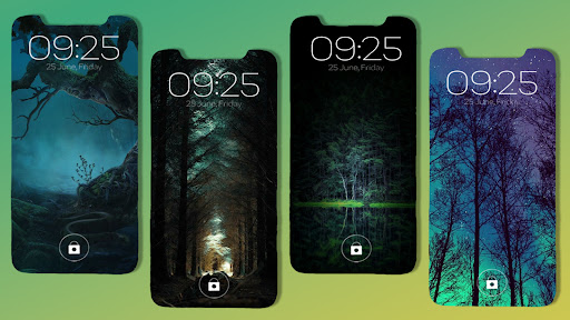 Night Wallpaper Scenery