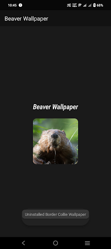 Beaver Wallpaper Screen 2