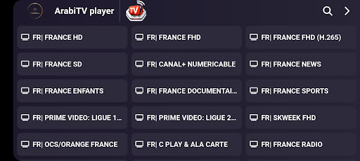Android application ArabiTV player screenshort