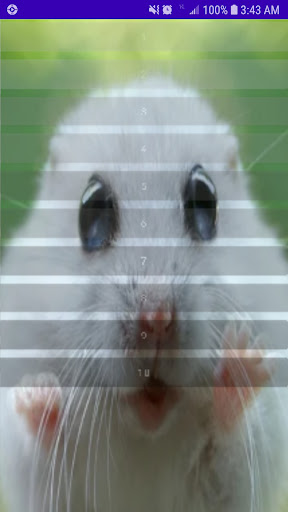 Hamster And Rodent Sounds Screen 2