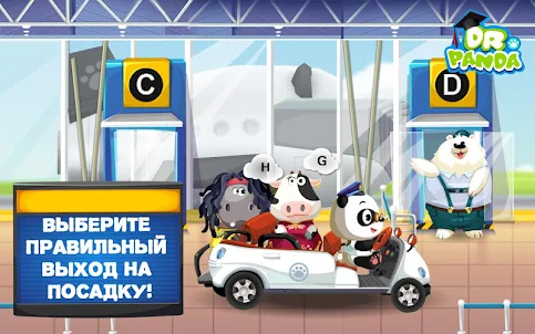 Аэропорт Dr. Panda