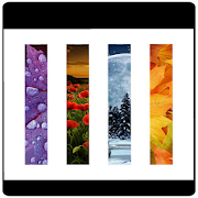 Autumn, Spring, Winter, Summer Wallpaper (Seasons)