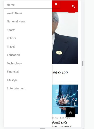 NPN News-Telugu Breaking News Screen 3