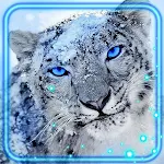 Cover Image of Download Snow Leopard Live Wallpaper  APK