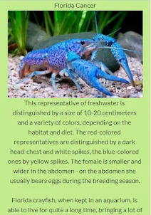 Types of Crayfish.