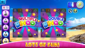 Game screenshot Quick Bingo — Жить Бинго Игры mod apk